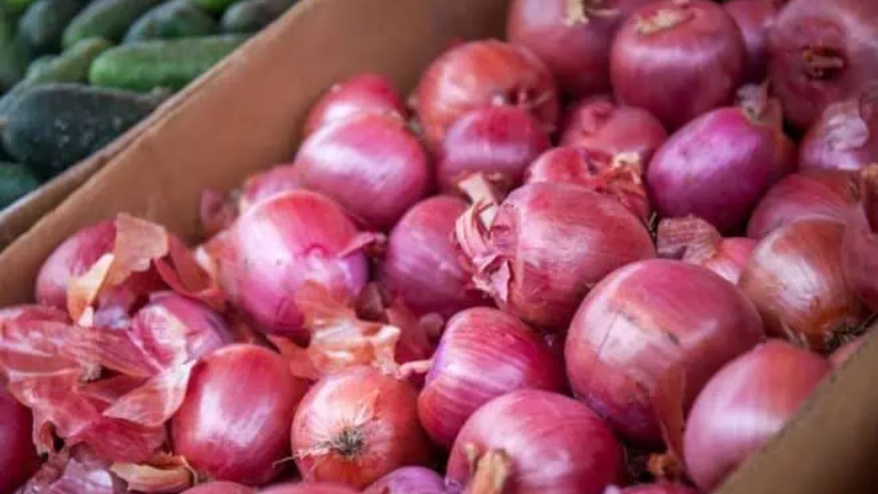 Usthadian Academy / Government Approval of Onion Export to Friendly Countries